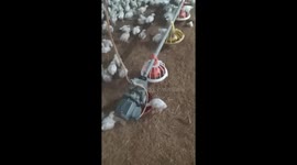 Chicken Invaders