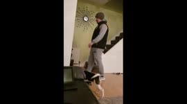 dad pranks lad with dog treat - funny prank puppy treat