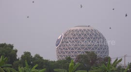 Swallows flying around an unusual temple in Thailand.
