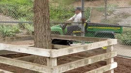 Airport Dog Park Clean Up Day
