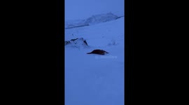 Sliding in the snow