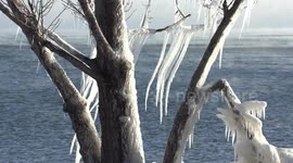 Ontario winter storm creates stunning lakeside ice sculptures