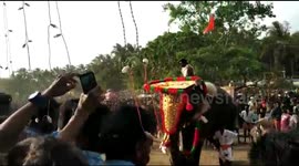 Agitated temple elephant in India temple runs amok amidst devotees during popular festival