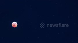 Total Lunar Eclipse 2019 January in NYC