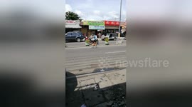 Newsflare Edit - Panic-stricken mother dog tries to stop cars to help her puppy after he was run over