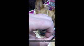 Snoot challenge fail