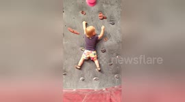 Watch this talented toddler scale 7-foot-high wall emulating Olympic sport climbers at Tokyo