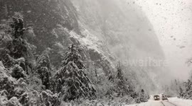 Fairytale scene as beautiful clip shows heavy snowfall in Caucasus mountains