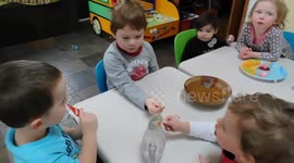 Alaskan Malamute Sojou Sharing with Cockatiel Phoebe and Children