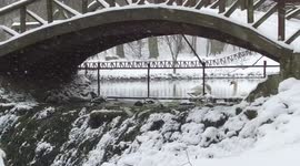 the swan swans enjoy falling snow. the recording was made in Sarajevo at the source of the water