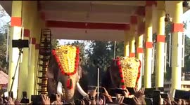 Head-lifting competition held for elephants in South Indian temple