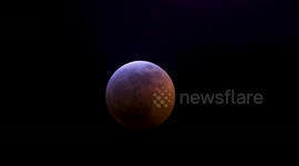 Amateur video of meteor 'striking super blood wolf moon'
