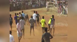27 injured in bull taming festival in southern India
