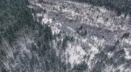 Russian winter forest bird's-eye view. Car on winter road.