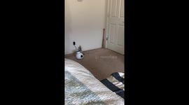 Hadley Luna IFetch