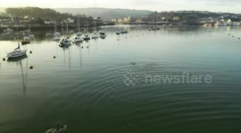 Stunning drone footage shows dolphins playing off the British coast
