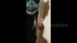 Shower Prank
