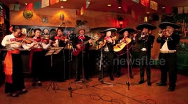Mariachi Samurai in Tokyo