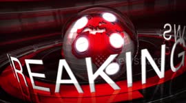 Couple announced gender reveal in hilarious fake news-conference