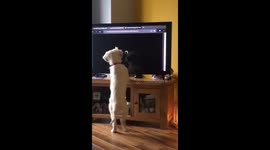 When the scary movie starts!