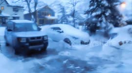 Alaskan Malamute Sojou Lost Mitten in Extreme Weather