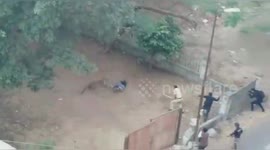 Leopard rampages through crowded Indian neighbourhood, injuring three