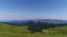 sheep escape from the camera dron