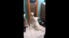 When you see yourself in the mirror for the first time