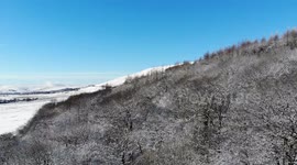 Drone, Derbyshire Snow, Hope Valley, trees