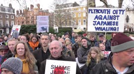 Anti-whaling activitists march to Japanese embassy in London