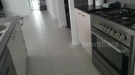Dog only wakes up when he hears the fridge door open two rooms away