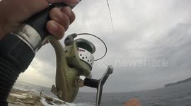 catching small kingfish off the rocks
