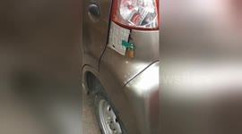Electric car owner installs extra lock on charging socket to deter robbers