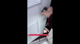 dogs cry of excitement