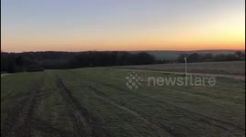 Whippet chases racehorses