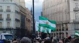 Concentration of taxi drivers on strike waving flags at Puerta del Sol in Madrid, against companies such as Uber and Cabify