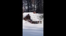 Nude man is cleaning the snow