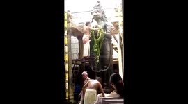 Priest trips and falls to death while performing rituals in India