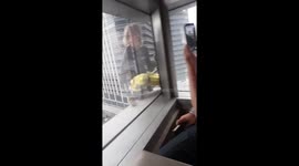 'French Spiderman' arrested after climbing Philippines skyscraper without safety gear
