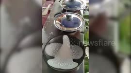 Skilled Indian chef makes rice pancakes in shapes of birds and butterflies