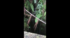 Walking to the top of the waterfalls at San Rafael Natural Park in Fusagasuga, Colombia