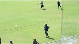 Stinging delivery! Bees stop play in India A-England Lions cricket match