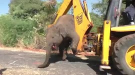 Heart-rending footage shows mum desperately looking for dead baby in South India