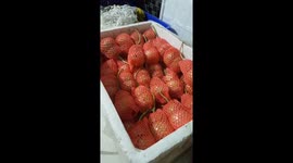 The melons are specially shaped
