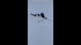 Girl has invented a new way to ski