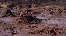 Brazil dam collapse: rescue workers dig through mud