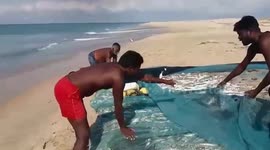 Turtle accidentally caught in fishing net, released by policemen