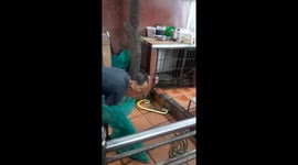 Two men are processing dishes from snake blood