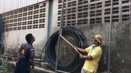 Python rescued after getting stuck in fence