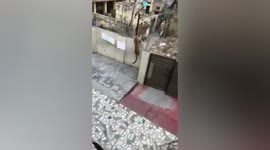 Terrifying moment leopard goes on rampage across Indian city